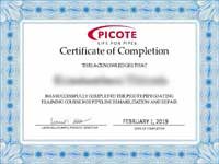 picote-brush-coating-epoxy-system-trenchless-pipe-repair-specialists picote brush coating epoxy system trenchless pipe repair specialists - Green Moles Cyprus