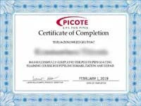 picote-brush-coating-epoxy-system-trenchless-pipe-repair-specialists picote brush coating epoxy system trenchless pipe repair specialists - Green Moles Cyprus